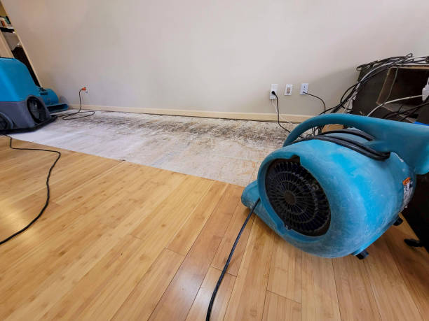 Professional Burst Pipe Water Damage technician working in Cameron, OH
